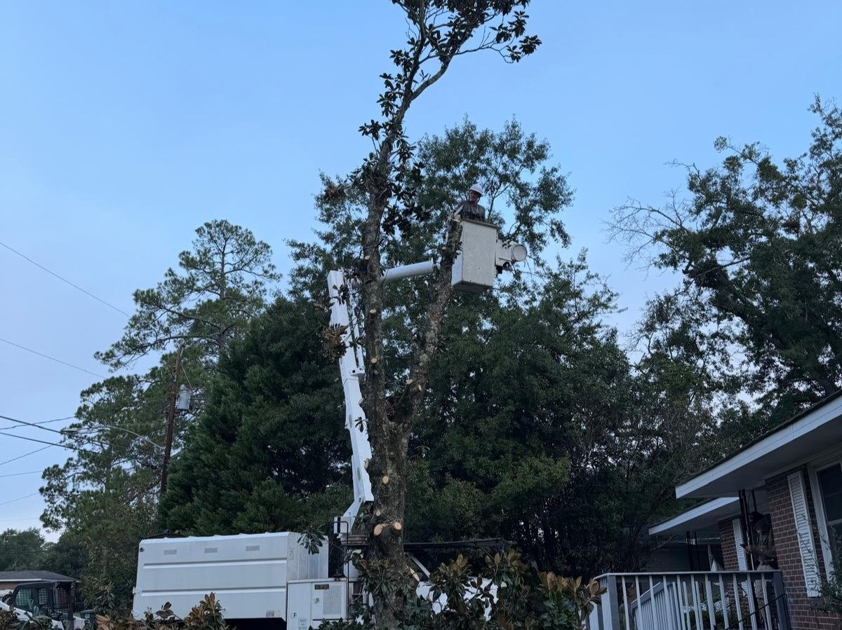 El Costeño Tree Service LLC